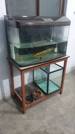 Aquarium