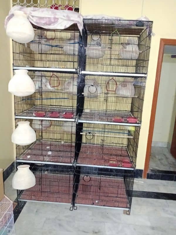 birds cage 0