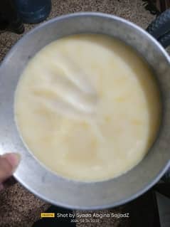 homemade desi ghee