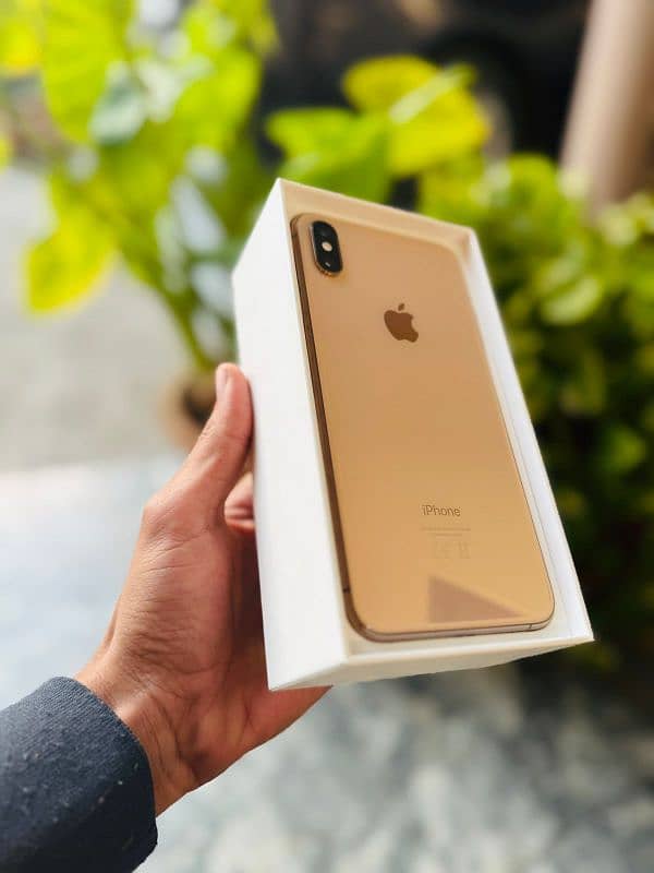 iphone xs max 1