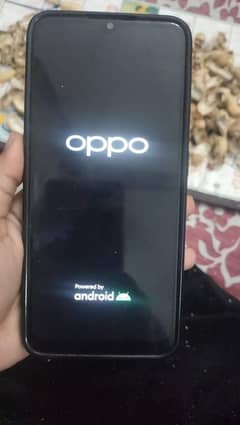 Oppo