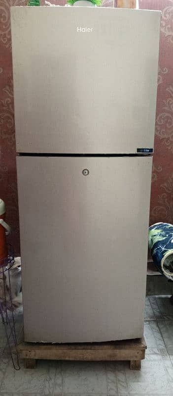 Haier full size fridge 1