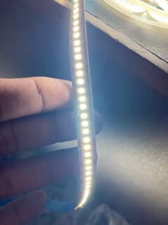 12V Strip Rope light 5 meter -2 Roll