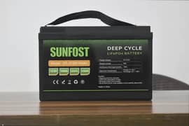 sunfost 12 v lithium battery