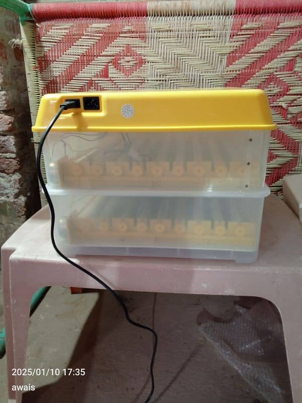 110 Eggs China Incubator 3