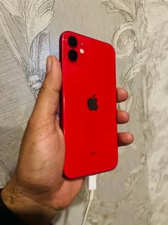 iphone 11 dual pta