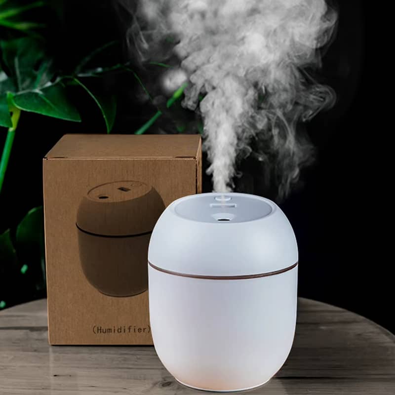 USB Portable Humidifier 250ML 4