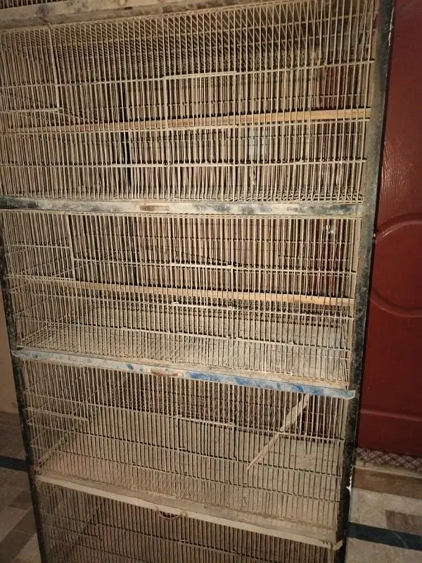 heavy cage 10 portion — photo 3