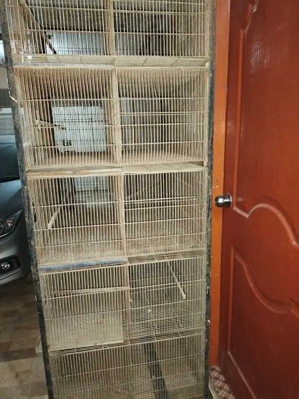 heavy cage 10 portion — photo 4