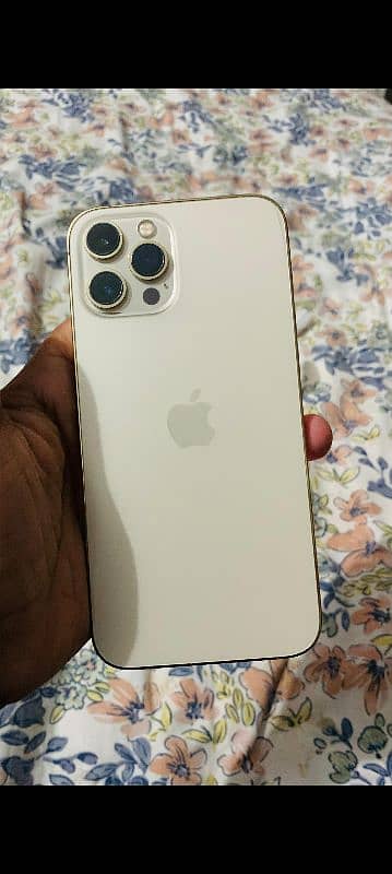 iphone 12 pro max 256 gb pta approved 1