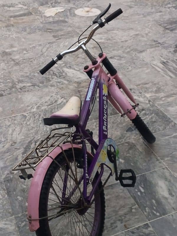 princess bicycle 0