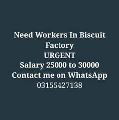 Need Workers In Biscuit Factory Urgent. || 30+ required.