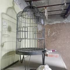 parrot cage