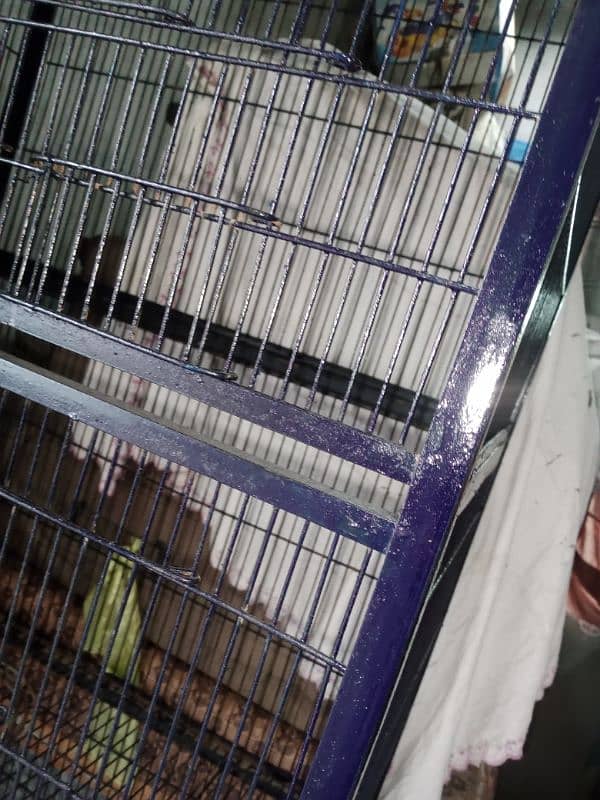 Parrot Birds iron cage 0