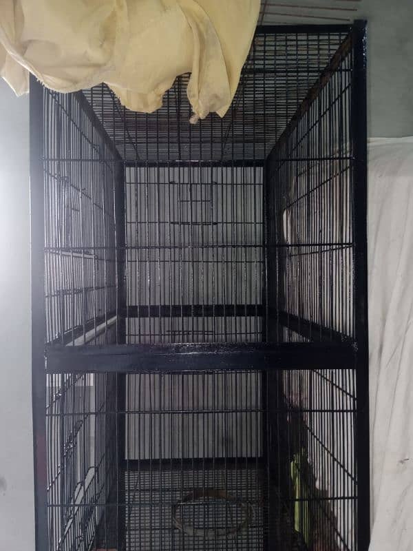 Parrot Birds iron cage 1