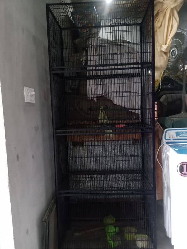 Parrot Birds iron cage 2