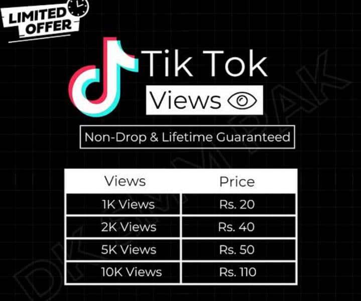 insta and tiktok services 1