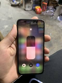 Apple iPhone X