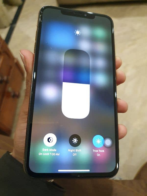 Xs Max 256 GB PTA 2