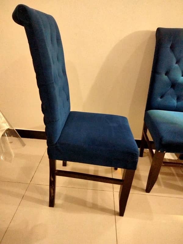 velvet dinning chairs for sale 2