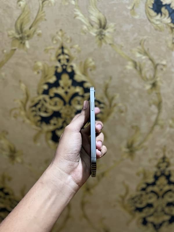 IPhone 12 Pro PTA Approved 3