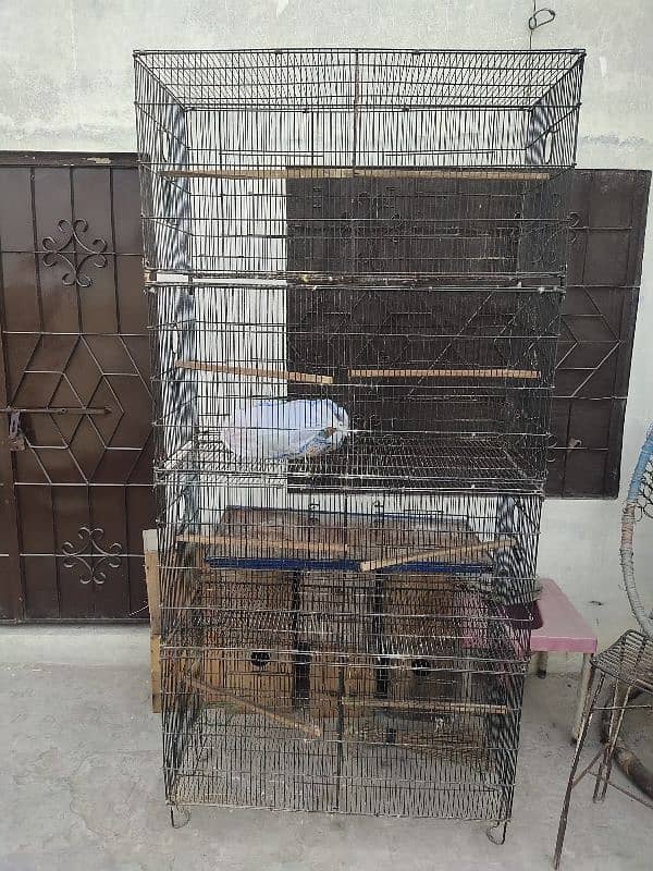 lovebird cage 0