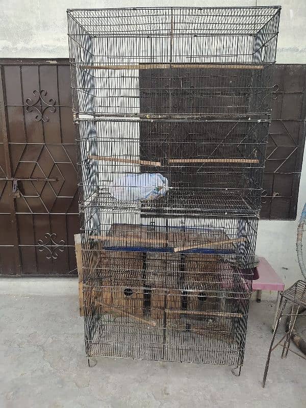 lovebird cage 1