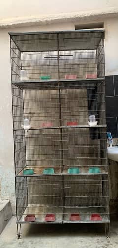 Parrots Cage