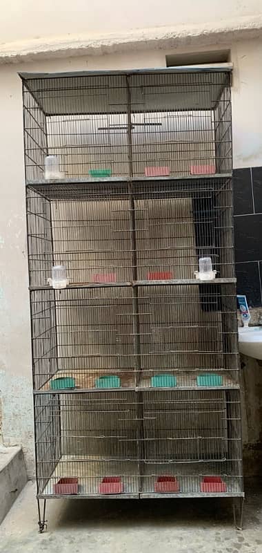 Parrots Cage 0