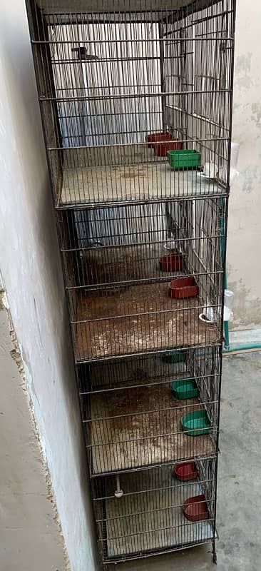 Parrots Cage 3