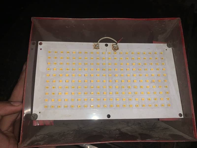 100w Fox Light 1