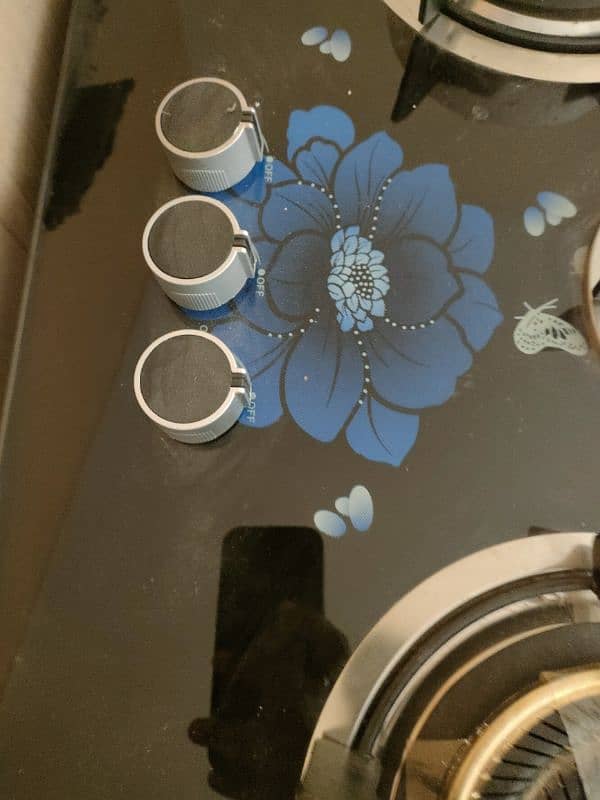 glass hob 5