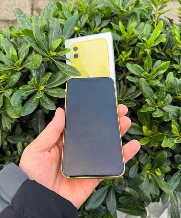 iPhone 11 pta 128gb Yellow 1