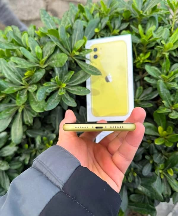 iPhone 11 pta 128gb Yellow 2