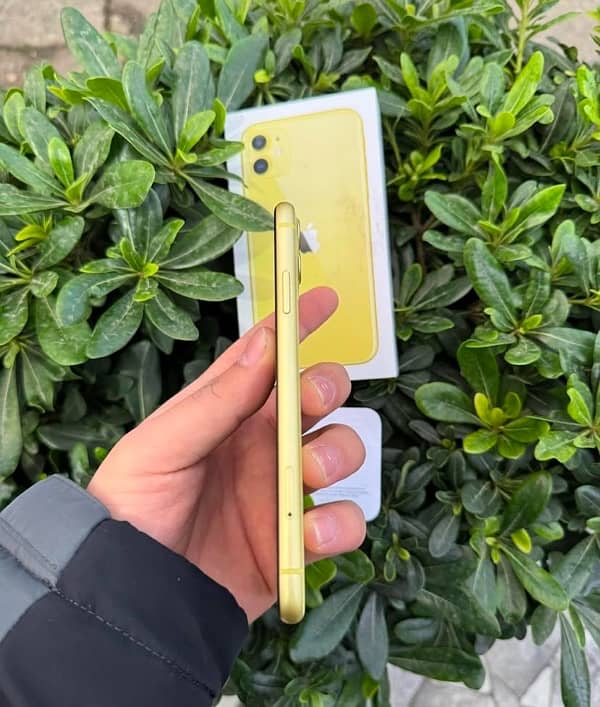 iPhone 11 pta 128gb Yellow 3