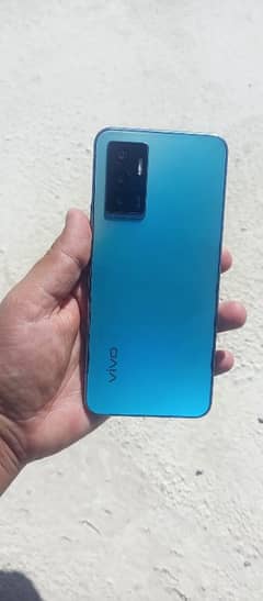 vivo