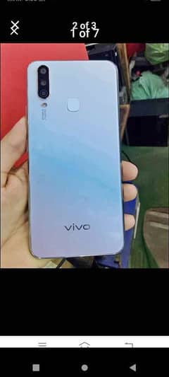 vivo