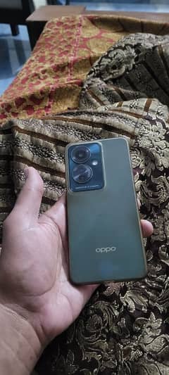 oppo Reno 11F 5g 8/256gb 03036556650