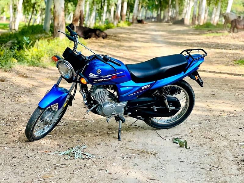 yamaha ybz125cc 0