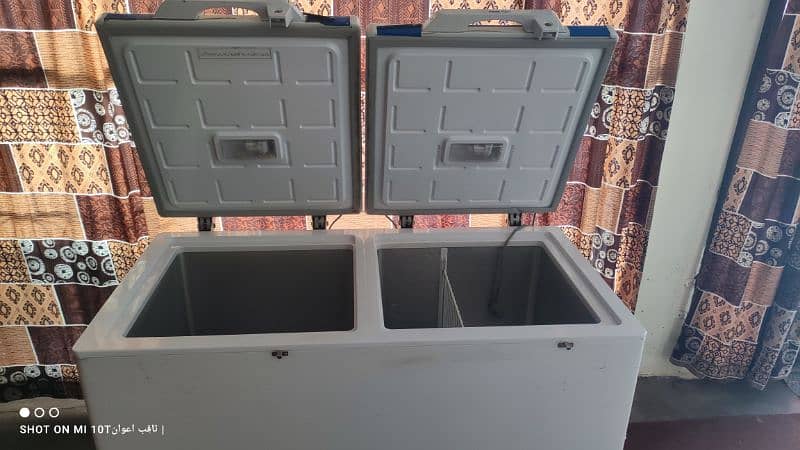 Pel Deep Freezer For Sale 0