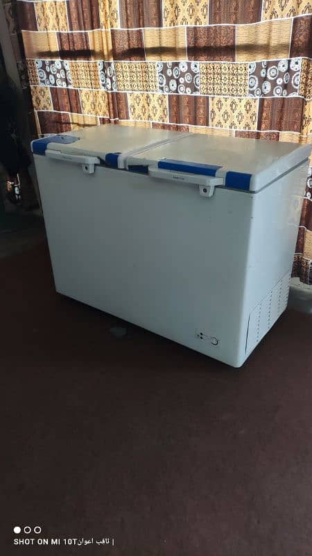 Pel Deep Freezer For Sale 1