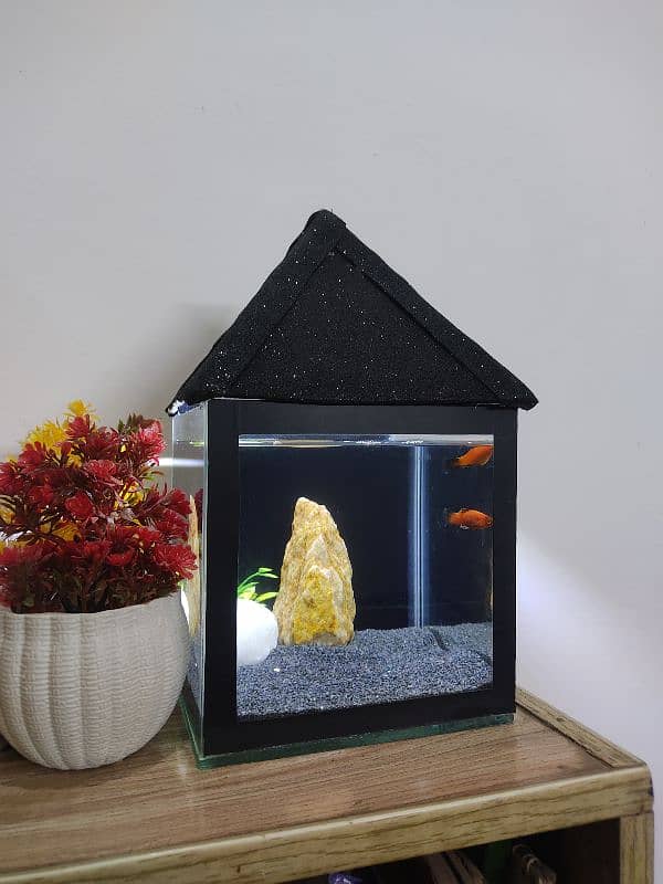 mini aquariam 3