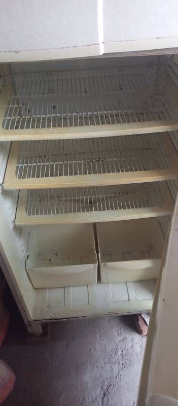 PEL use fridge 3