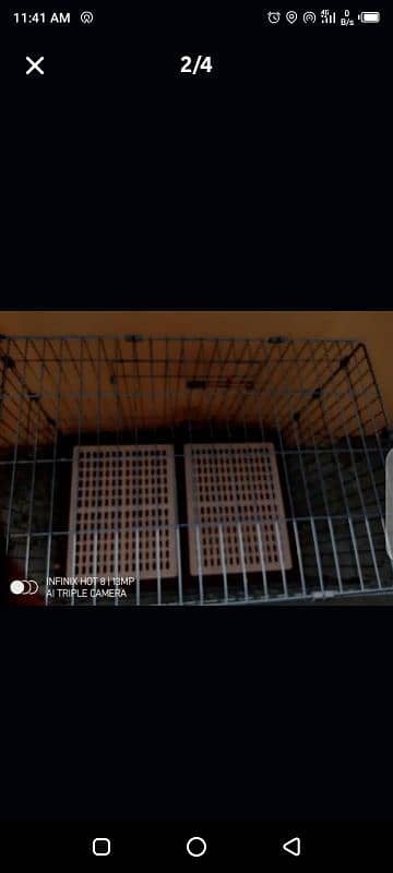 baby dogs  Cage 2