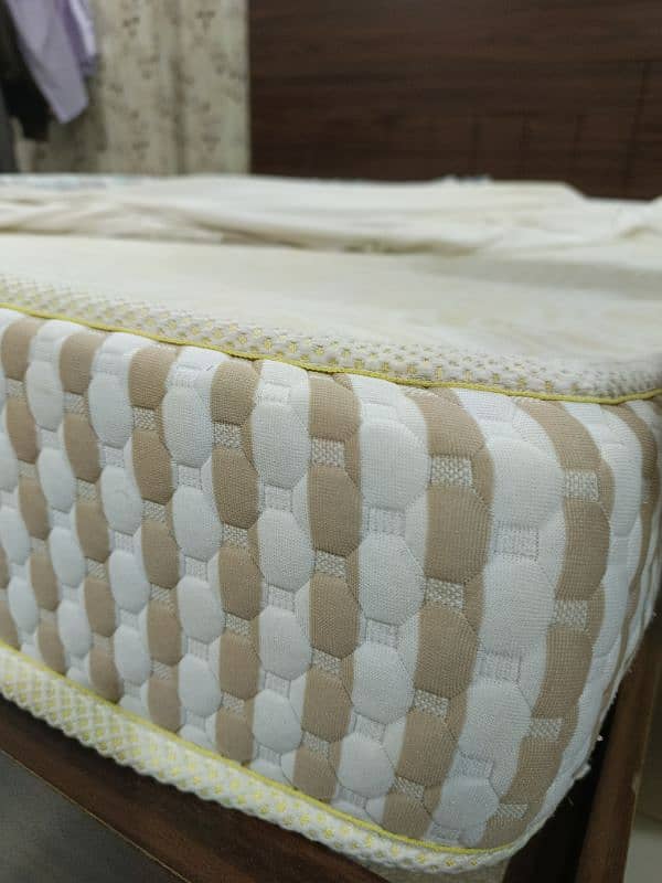 MoltyFoam Mattress 1