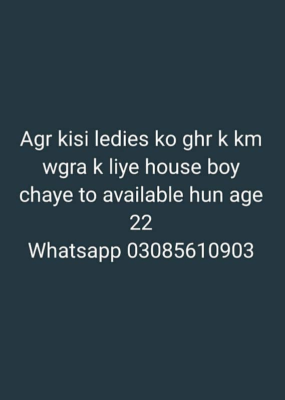 House Boy Contact: 03085610903 0