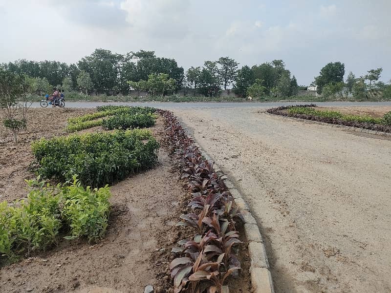 1 kanal plot at 75ft road 8