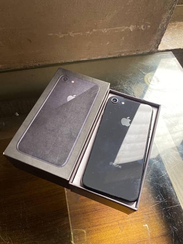 iPhone 8 pta 1