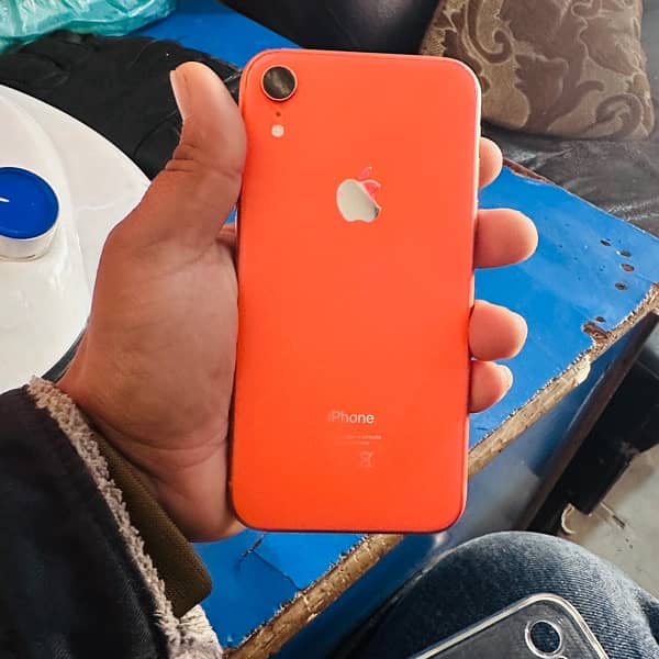 Iphone XR 64 GB PTA Approved 4