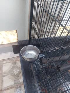 Steel Parrot Cage in Pristine condition for sale